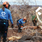 Disaster Relief Australia