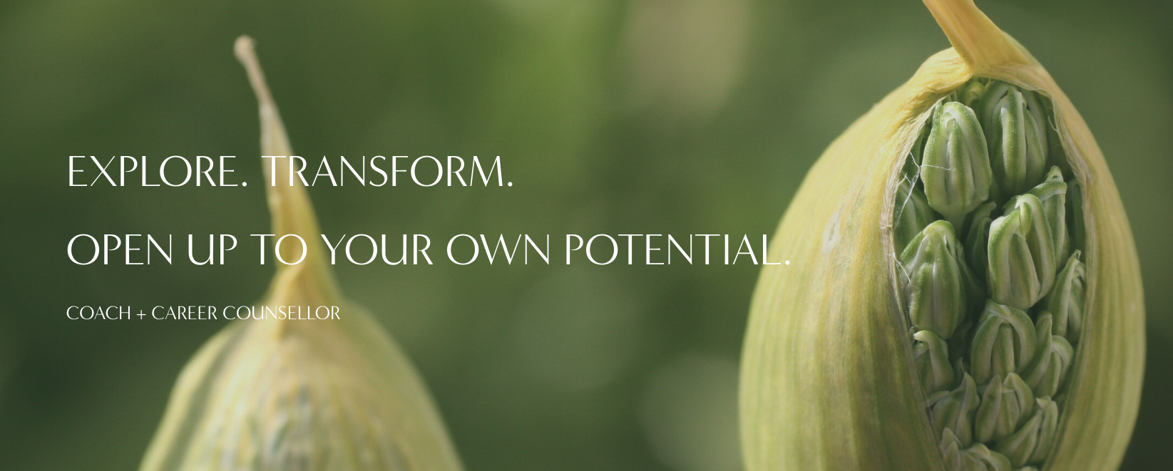 Empower Your Career with Rosie Nelson's Expert Coaching